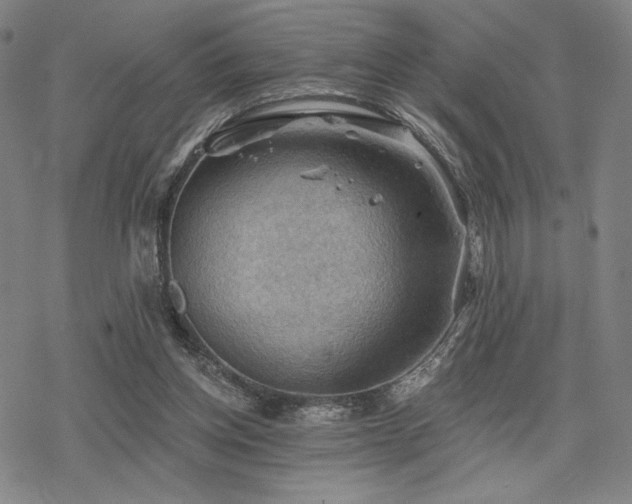 X0000068820158200605051219