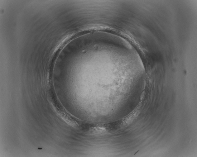 X0000068820159200605051219