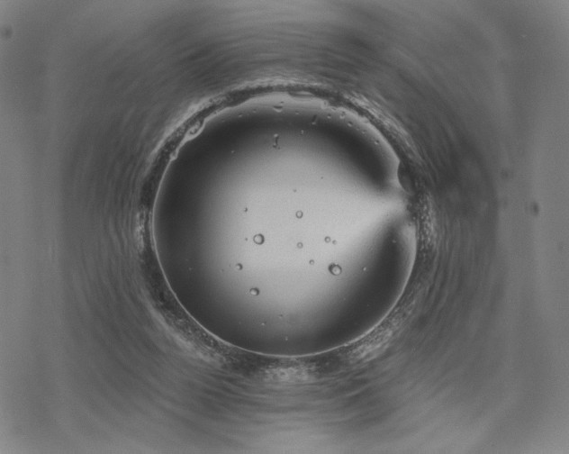 X0000068820160200605051219