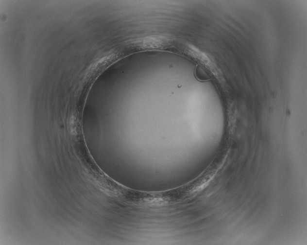 X0000068820161200605051220