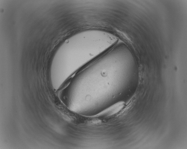 X0000068820162200605051220