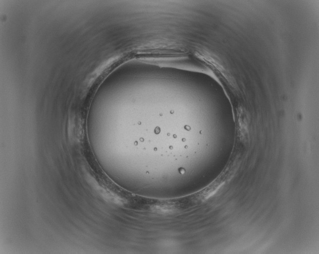 X0000068820164200605051220