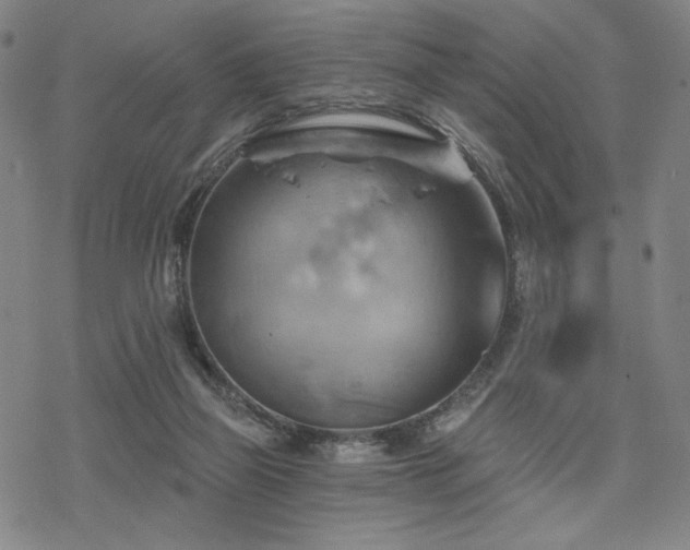 X0000068820165200605051220