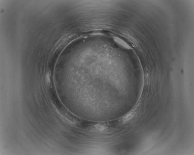 X0000068820166200605051220