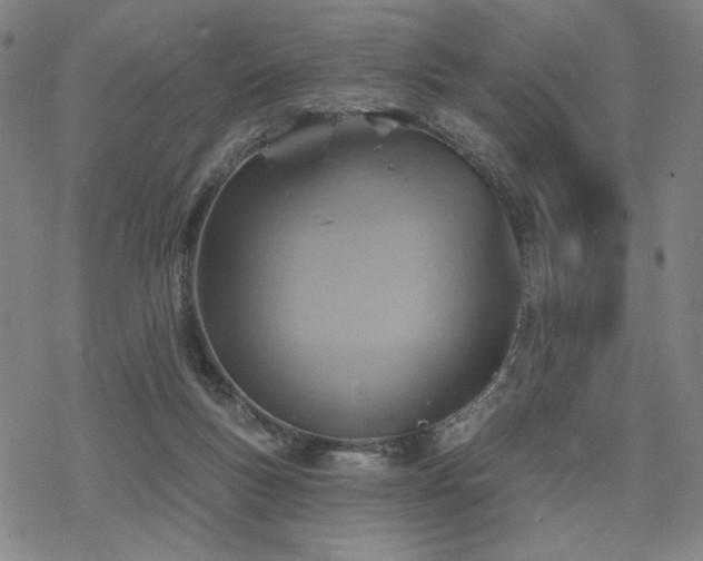 X0000068820167200605051220