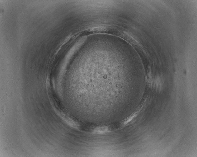 X0000068820168200605051220