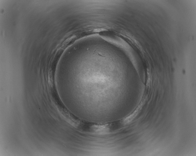 X0000068820170200605051220