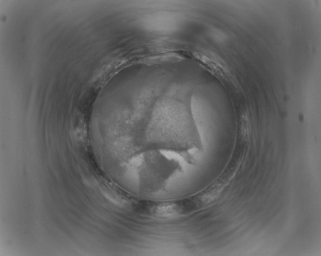 X0000068820173200605051220