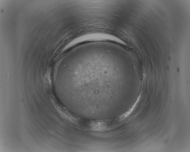 X0000068820174200605051220