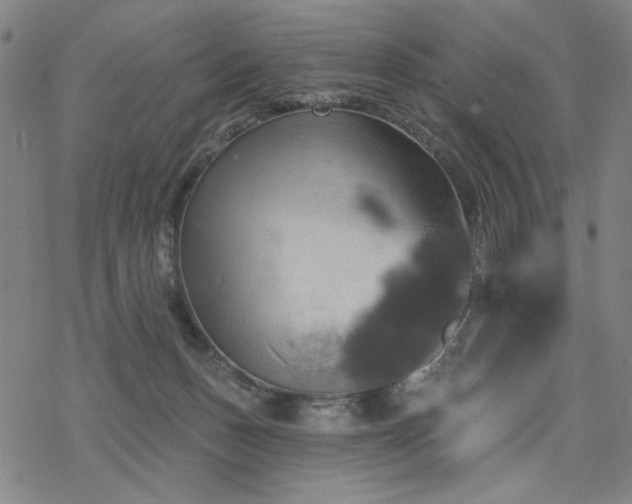 X0000068820175200605051220