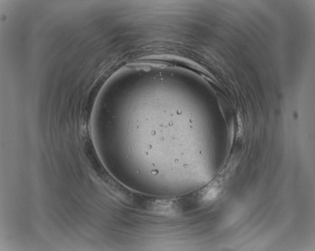 X0000068820176200605051220