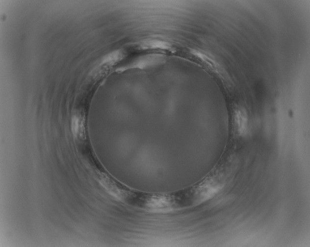 X0000068820177200605051220