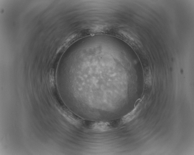 X0000068820179200605051220