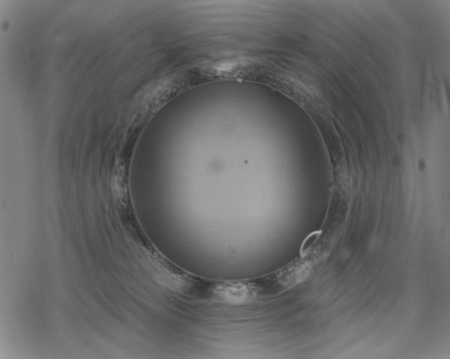 X0000068820181200605051220