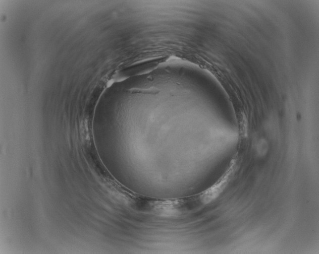 X0000068820182200605051220