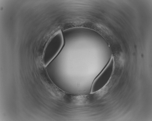 X0000068820184200605051220