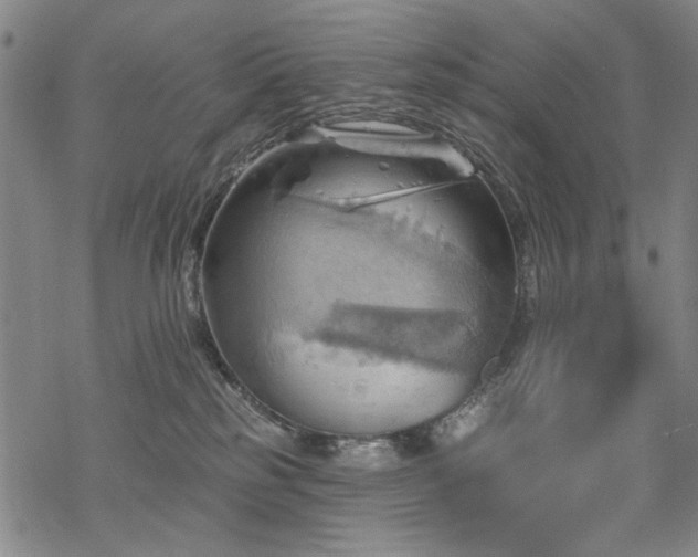 X0000068820185200605051220