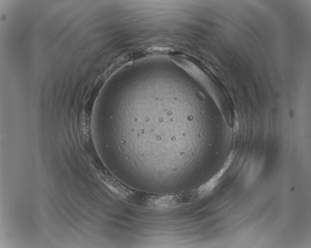 X0000068820186200605051220