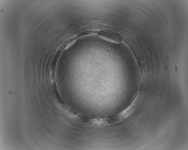 X0000068820187200605051220