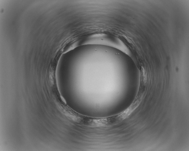 X0000068820188200605051220