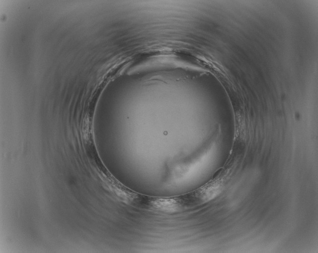 X0000068820189200605051220