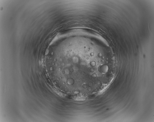 X0000068820191200605051220