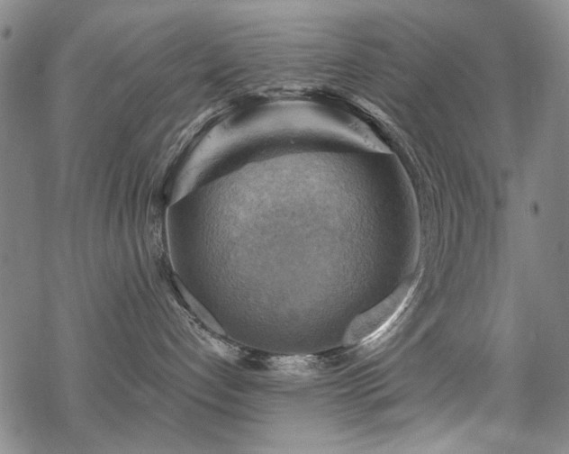 X0000068820192200605051220