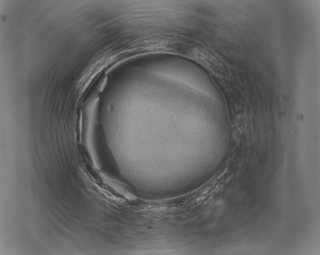 X0000068820194200605051219