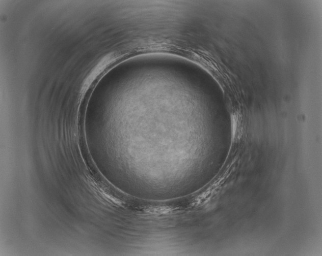 X0000068820195200605051219