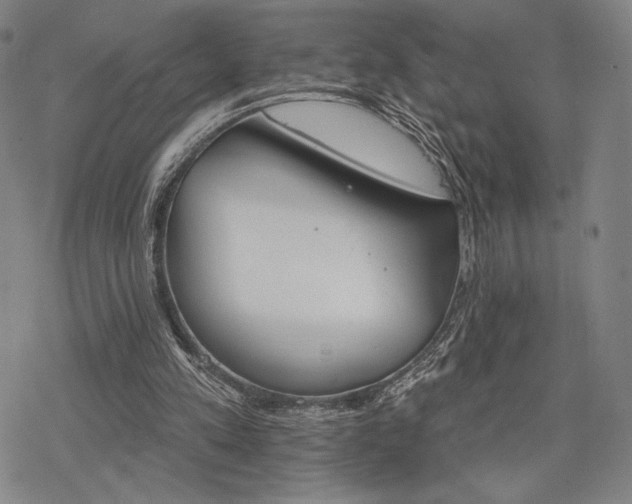 X0000068820197200605051219