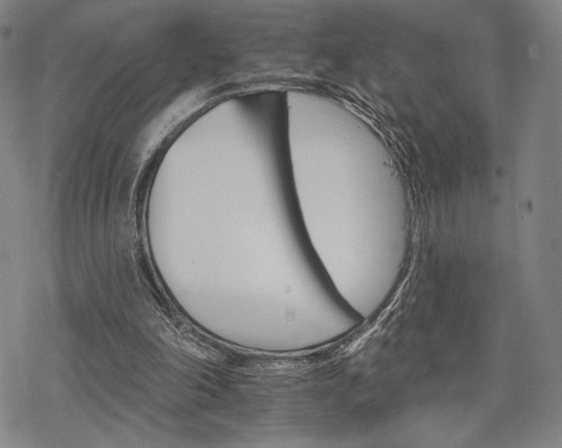 X0000068820198200605051219