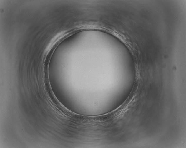 X0000068820199200605051219