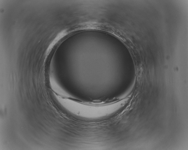 X0000068820200200605051219