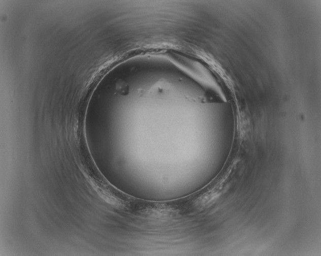 X0000068820201200605051219