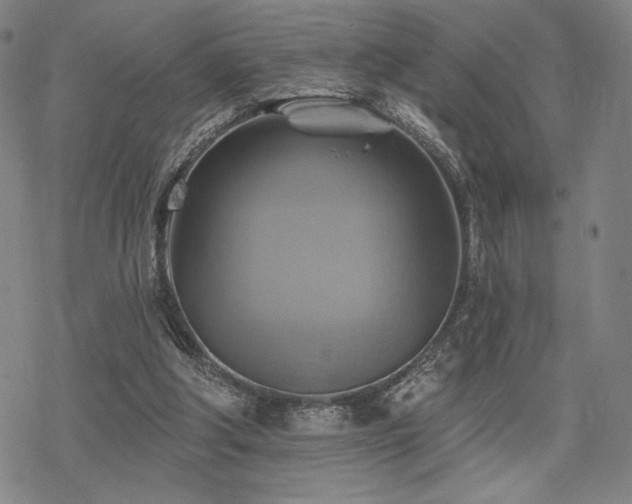 X0000068820202200605051219