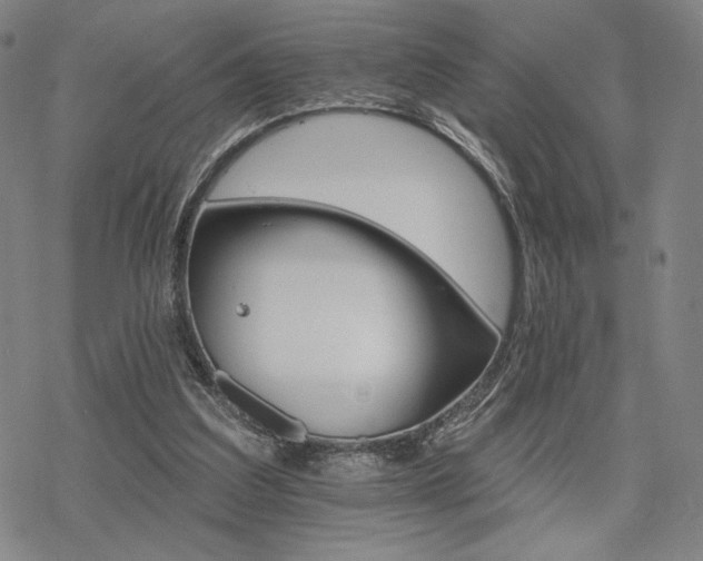 X0000068820203200605051219