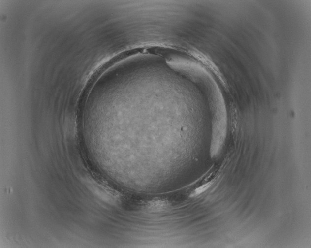 X0000068820204200605051219