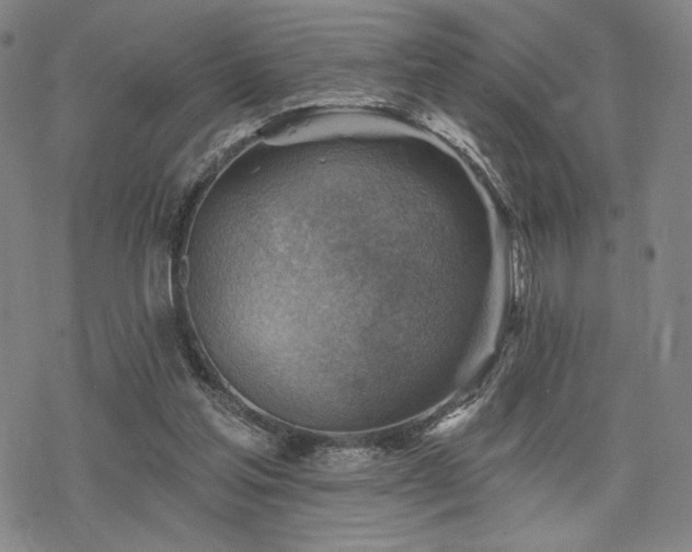 X0000068820205200605051219