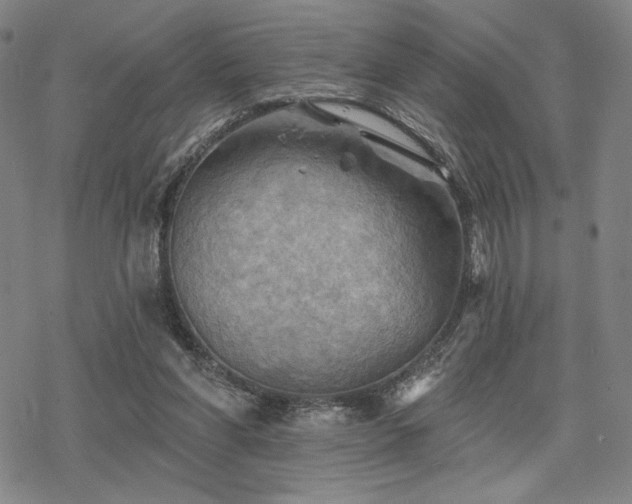 X0000068820206200605051219