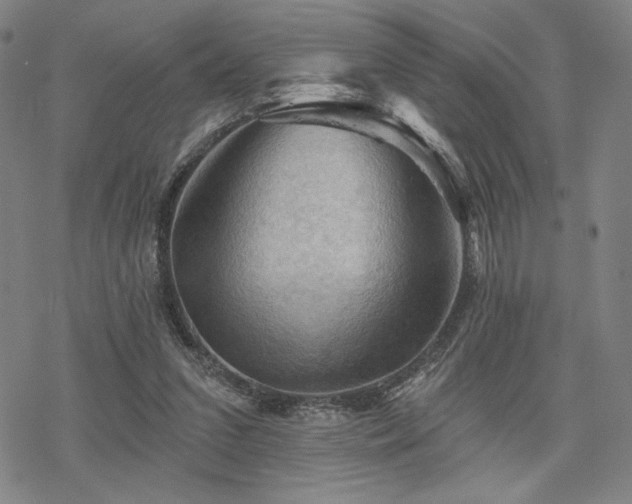 X0000068820207200605051219