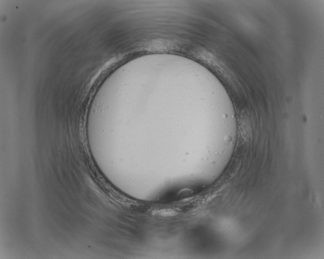 X0000068820208200605051219