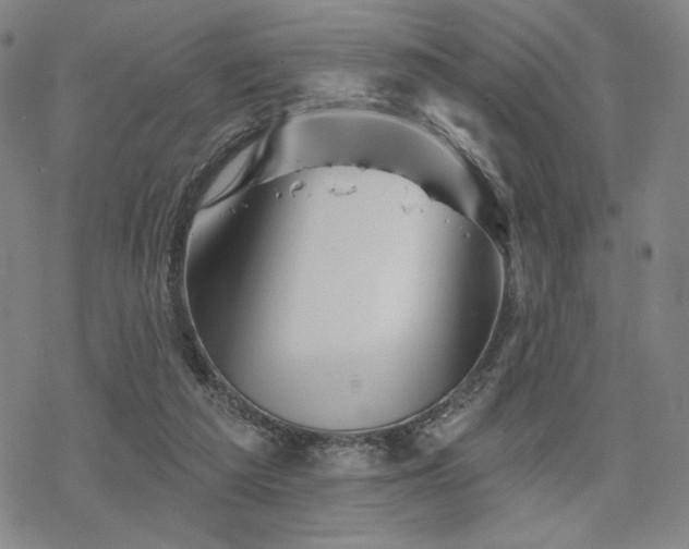 X0000068820209200605051219