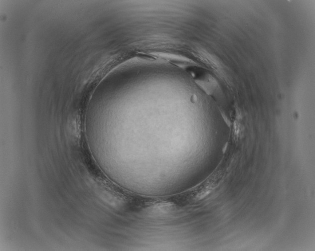 X0000068820210200605051219