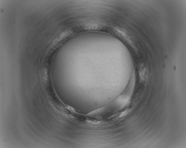 X0000068820211200605051219