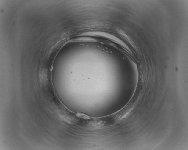 X0000068820213200605051219