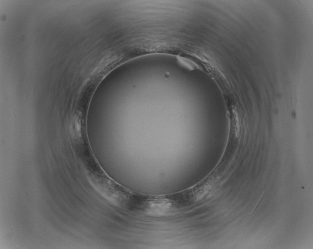 X0000068820214200605051219