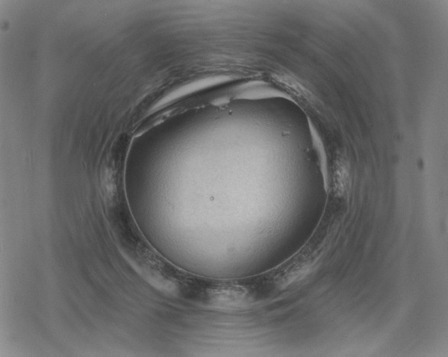 X0000068820215200605051219