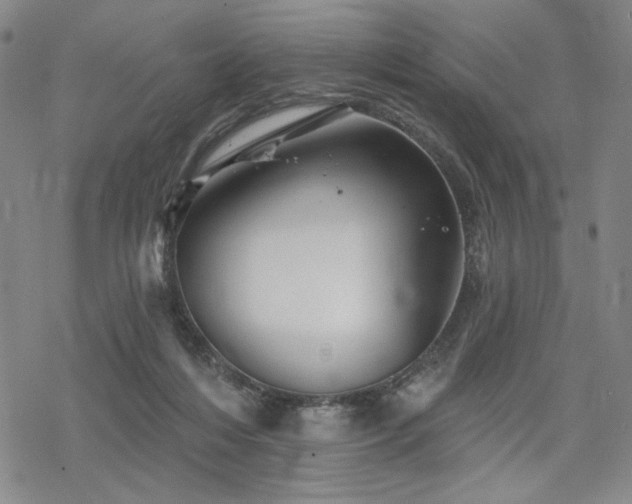 X0000068820216200605051219