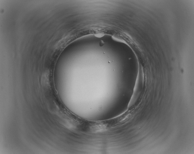 X0000068820217200605051219