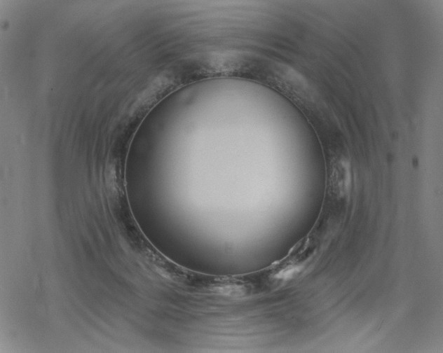 X0000068820220200605051219